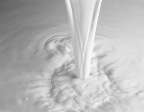 Молочные продукты в изделии. Виды молочных продуктов