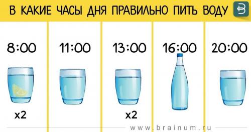 Как правильно пить воду по часам. 