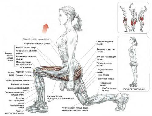 Можно ли делать эти упражнения дома, или нужен спортзал. «Качалка» на дому