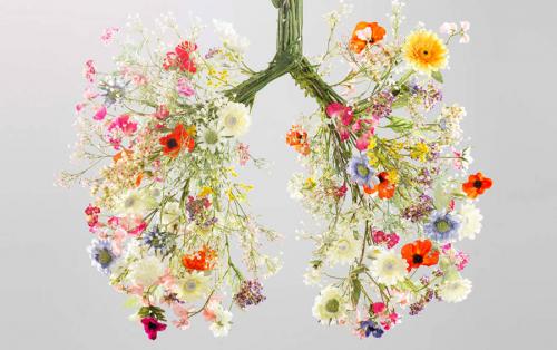 Успеть за 10 минут. 10 полезных дел, которые можно сделать всего за 10 минут 09