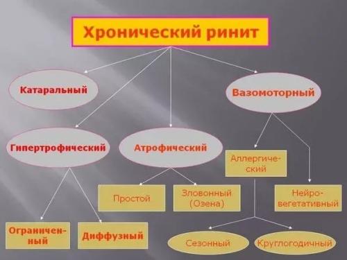 Затяжной насморк у взрослого форум. Хронический ринит