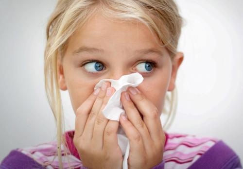 Заложенность носа с насморком. Причины появления насморка 05