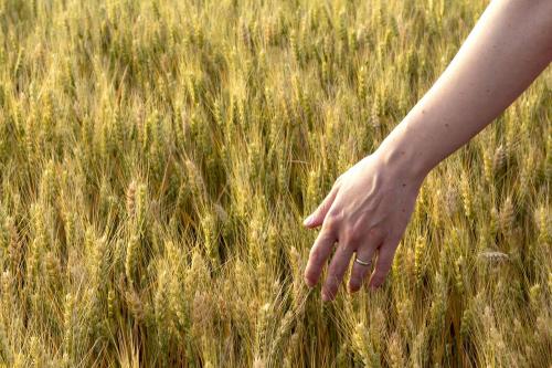 Какие виды отруби наиболее эффективны при запорах. Употребление отрубей – эффективное средство лечения запора