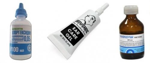 Загноилось ухо после прокола. Гноится ушко после прокола 05