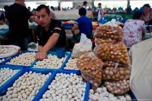 Сыр Курт, как есть. Узбекская кухня: Курт – вкусно, полезно, необычно