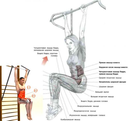 Упражнение Уголок на полу. Уголок на полу 05 Упражнение Уголок на полу. Уголок на полу 05