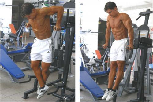 Отжимания на брусьях с отягощением. Отжимания на брусьях с весом (отягощением): техника, методика, видео 03 Отжимания на брусьях с отягощением. Отжимания на брусьях с весом (отягощением): техника, методика, видео 03