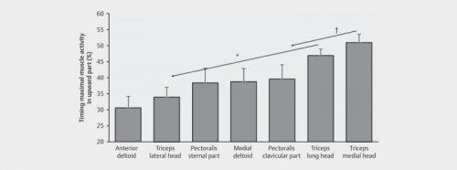 Отжимания с дополнительным весом. Могут ли отжимания от пола заменить жим штанги лежа?