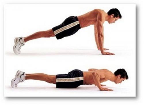 Какие мышцы работают при отжимании от пола. Как правильно отжиматься от пола