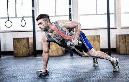 Есть ли польза отжиманий на брусьях. Можно ли заниматься на брусьях каждый день 07