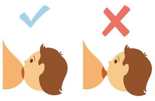 Массаж кормящим мамам можно ли. Можно ли делать клизму кормящей маме? 04