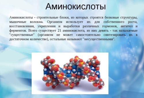 Протеиновые коктейли рецепт. 12 рецептов протеиновых коктейлей для набора массы и похудения