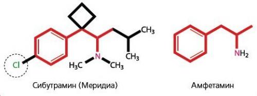 Таблетки от ожирения название и отзывы. Ольга Гвоздева, эндокринолог. Редактор А. Герасимова 01 Таблетки от ожирения название и отзывы. Ольга Гвоздева, эндокринолог. Редактор А. Герасимова 01