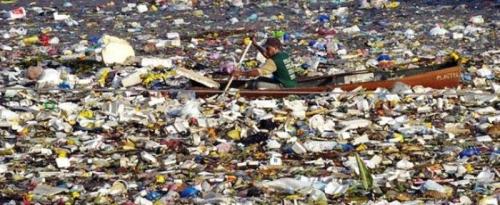 Роль человека в природе плюсы и минусы. Воздействие людей на природу гор и океана