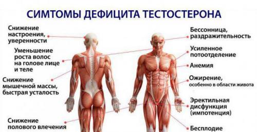 6 правил мужского здоровья. Популярные книги 05 6 правил мужского здоровья. Популярные книги 05