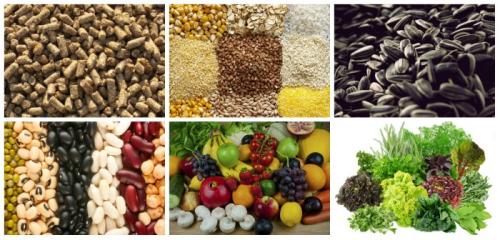 Меню раздельного питания по неумывакину. Система питания и очищения организма Ивана Неумывакина