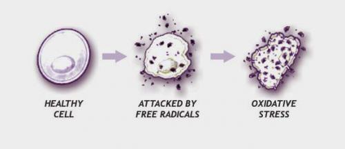 Эффективные омолаживающие процедуры для лица после 50: что действительно работает 05