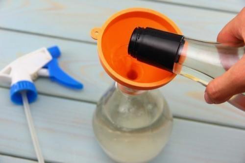 Как избавиться от муравьев в квартире уксусом. Другие средства избавления от муравьев