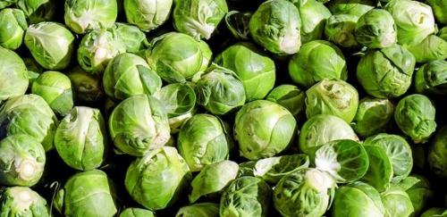 Какие есть диеты на цветной капусте. Диета при гастрите желудка, если кислотность повышена 12 Какие есть диеты на цветной капусте. Диета при гастрите желудка, если кислотность повышена 12