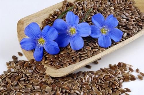 Любовь к льняному семени может оказаться опасной для жизни. В чем опасность льняного семени для здоровья