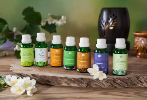 Массажные линии лица и шеи схема. Массаж лица в домашних условиях 06