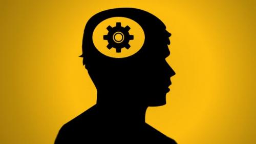 Мускатный орех описание и полезные свойства. Как мускатный орех помогает справляться с депрессией? 04 Мускатный орех описание и полезные свойства. Как мускатный орех помогает справляться с депрессией? 04