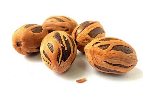 Мускатный орех описание и полезные свойства. Как мускатный орех помогает справляться с депрессией? 05 Мускатный орех описание и полезные свойства. Как мускатный орех помогает справляться с депрессией? 05