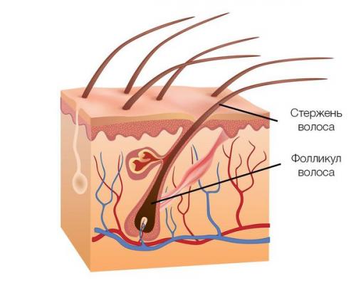 Нарушение роста волос в области бороды. Виды алопеции бороды 06