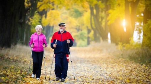 Рекомендации по здоровому образу жизни для старшего поколения. Здоровый образ жизни для старшего поколения 01