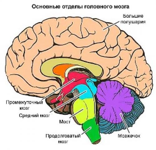 10 главных упражнений для тех. Топ-50 упражнений стоя для начинающих и для любого возраста: без прыжков и приседаний (+ план на 5 дней) 02 10 главных упражнений для тех. Топ-50 упражнений стоя для начинающих и для любого возраста: без прыжков и приседаний (+ план на 5 дней) 02