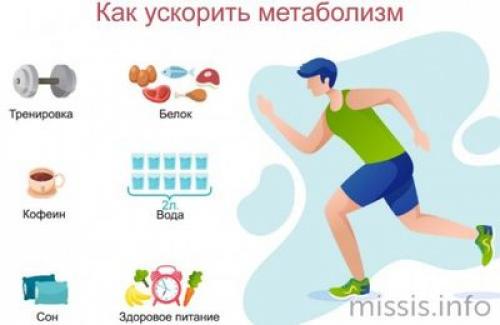 10 мифов и фактов о метаболизме. На чем основаны мифы о метаболизме? 02