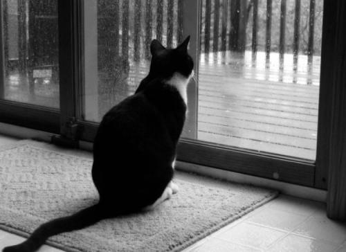 Как называется когда настроение зависит от погоды. Почему в пасмурную погоду болит голова и становится грустно?