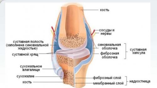 Артроз, как лечить. Что такое артроз