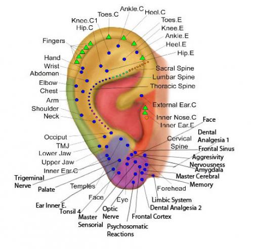 Через какое время можно менять сережку после прокола уха.  Смена украшения после заживления прокола 01 Через какое время можно менять сережку после прокола уха.  Смена украшения после заживления прокола 01