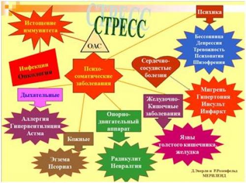 От А до Я здорового образа жизни: 5 компонентов, которые нужно знать 04