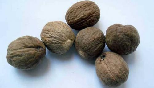 Мускатный орех для мужчин, как принимать. Мускатный орех: полезные свойства и противопоказания для мужчин и женщин