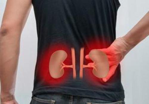 Тонкая кожа под глазами. Давайте взглянем на анатомическое строение области глаз. 08