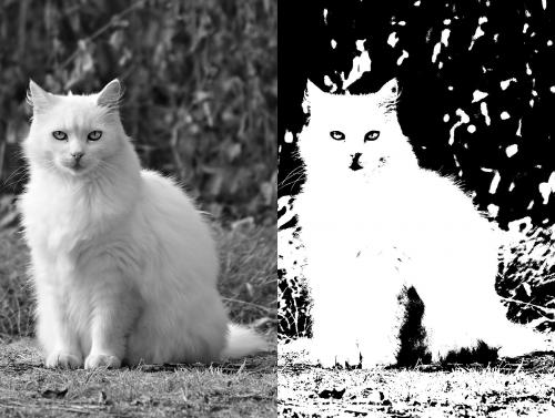 Как использовать эти изображения в работе. Порог изображения