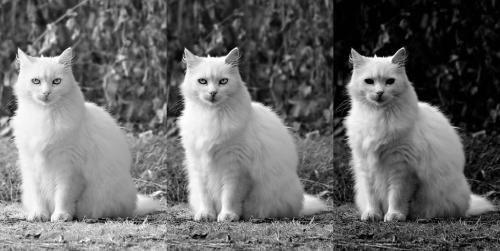 Как использовать эти изображения в работе. Порог изображения