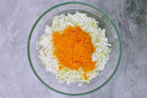 Какие рецепты можно использовать для приготовления квашеной капусты. Квашеная капуста: 15 отличных рецептов и способов приготовления