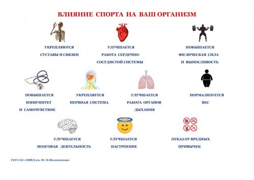 Какие виды спорта могут быть полезными для здоровья. ВЛИЯНИЕ СПОРТА НА ВАШ ОРГАНИЗМ