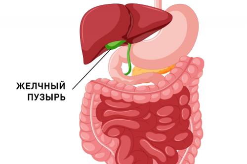 Послеоперационная диета: что нужно знать после лапароскопии желчного пузыря 02 Послеоперационная диета: что нужно знать после лапароскопии желчного пузыря 02