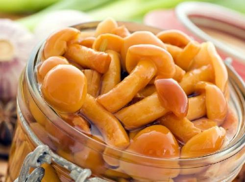 Как правильно готовить зимние опята. Как готовить зимние опята — 5 простых и вкусных блюд