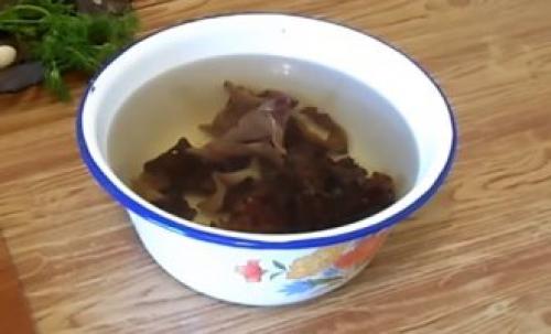 Оленьи рожки грибы, как приготовить. Грибы оленьи рожки: характеристика и особенности приготовления 14 Оленьи рожки грибы, как приготовить. Грибы оленьи рожки: характеристика и особенности приготовления 14