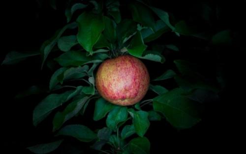 Какие продукты могут быть полезными для людей, которые работают на ночных сменах. Как питаться в ночную смену, чтобы оставаться здоровым?