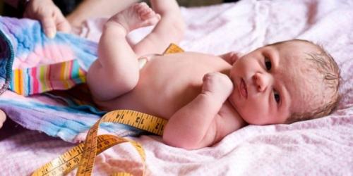 Как и с чем едят курт. Что это такое?