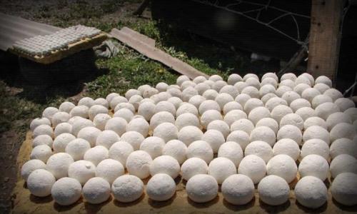 Как и с чем едят курт. Что это такое?