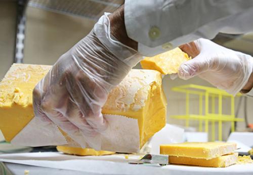 Сыр Курт содержание полезных веществ. Сыр Курт 21 Сыр Курт содержание полезных веществ. Сыр Курт 21