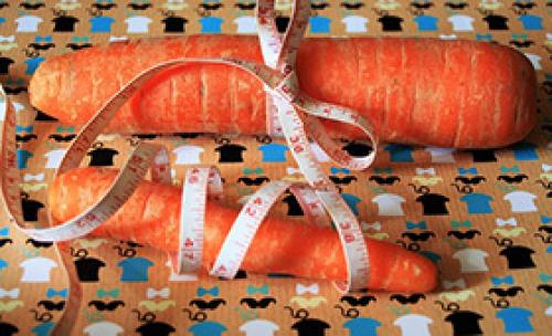 Искусство диетотерапии при заболеваниях желчевыводящих путей. Диетотерапия при заболеваниях печени и желчевыводящих путей 10