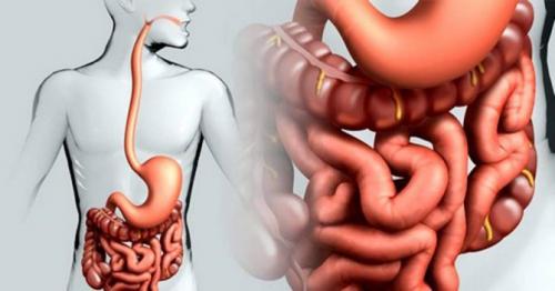 Кефир с льняными семенами. Разгрузочный день на кефире